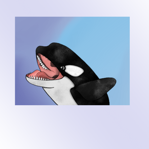 orca